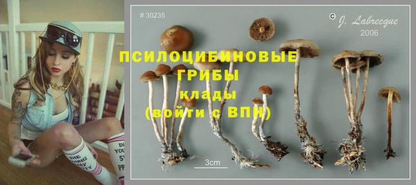 каннабис Нефтекумск
