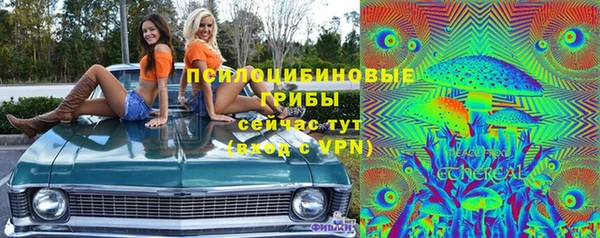 мяу мяу мука Новозыбков