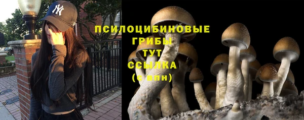 гидропоника Нефтегорск
