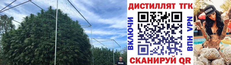 ТГК Wax  сайты даркнета наркотические препараты  Зубцов 