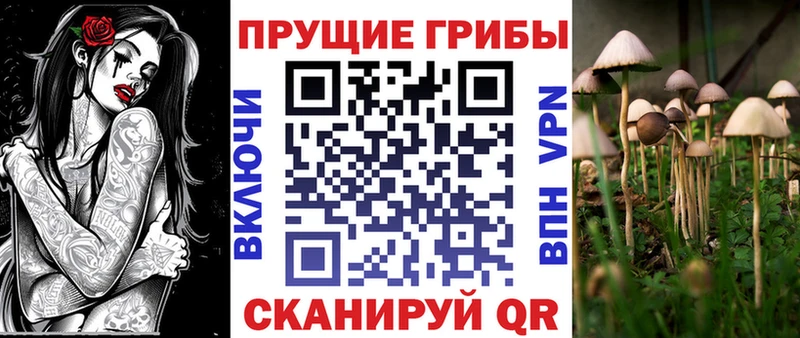 цены mega маркетплейс Галлюциногенные грибы Cubensis Зубцов